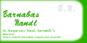 barnabas mandl business card